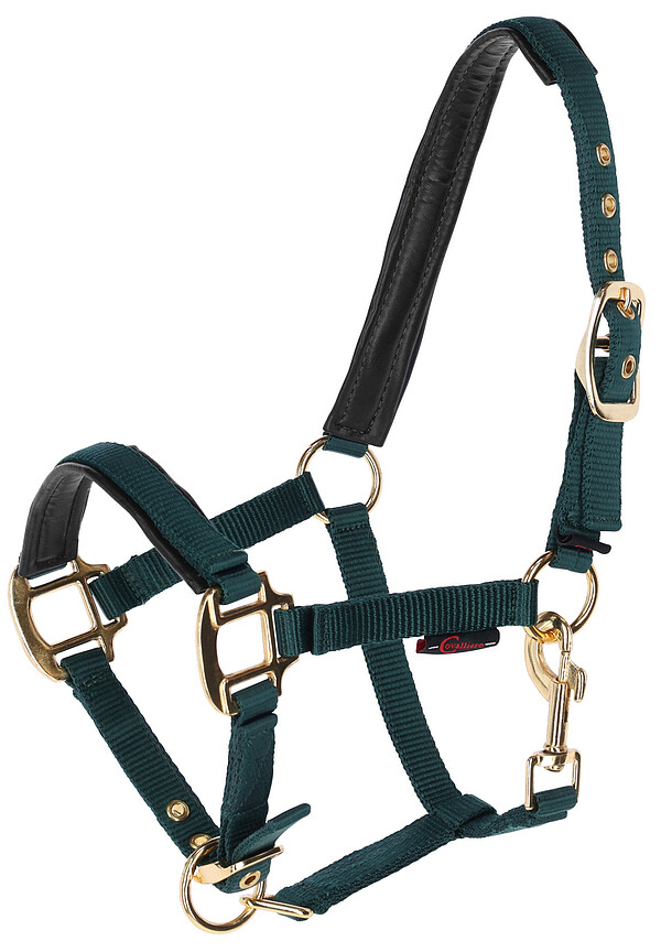 Fohlenhalfter TopLine, forest  