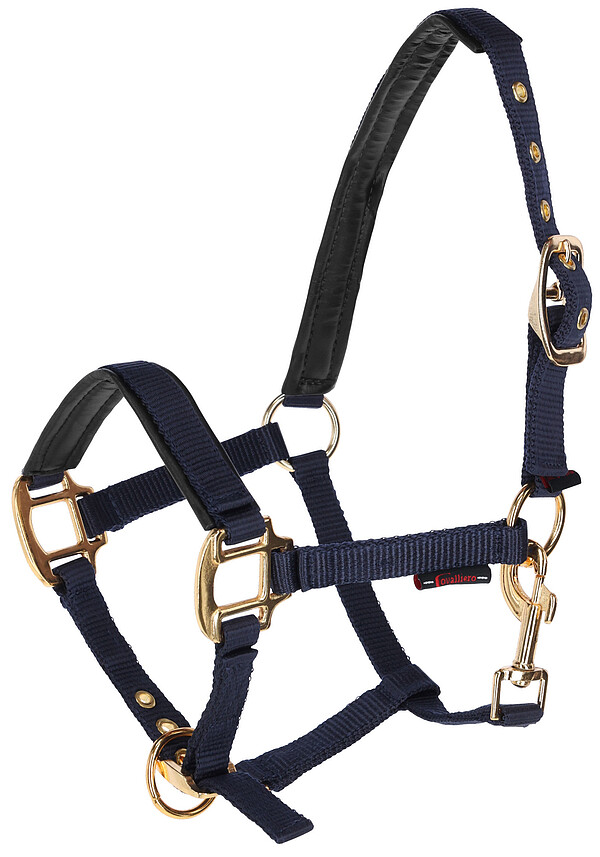 Fohlenhalfter TopLine, navy  
