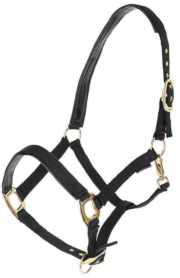 Halfter TopLine  