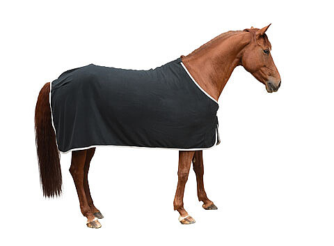 RugBe Fleecedecke Economic black 155  