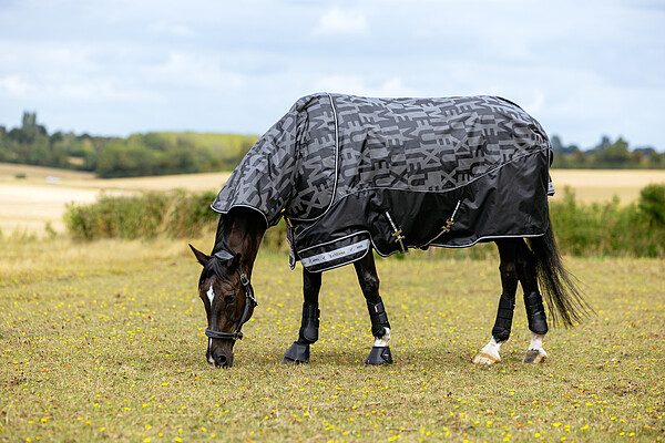 Arika Reflective Turnout 0g  