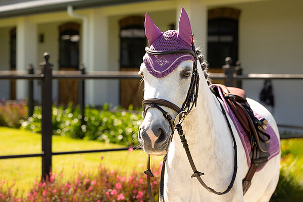 Le Mieux Classic Fly Hood  