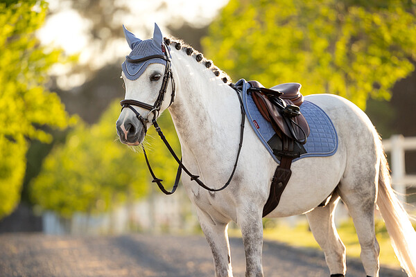 Le Mieux Classic Fly Hood  