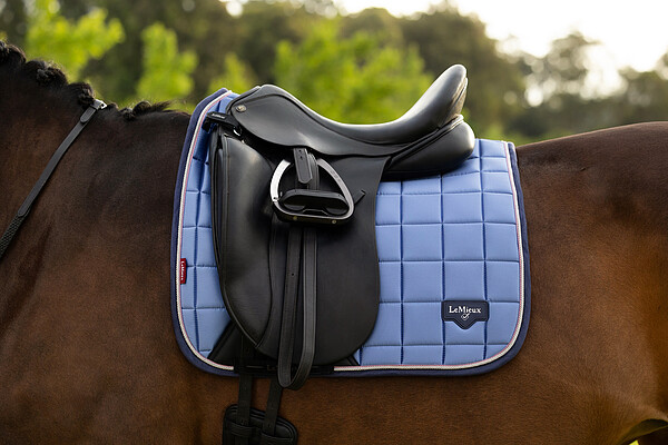 Le Mieux Loire Classic Dressage Square  