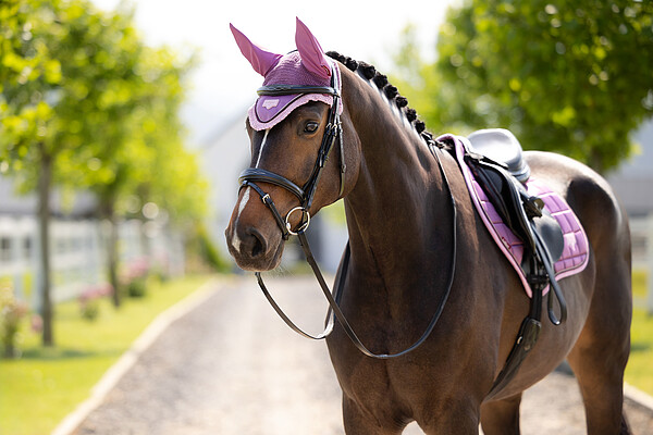 Le Mieux Loire Fly Hood  