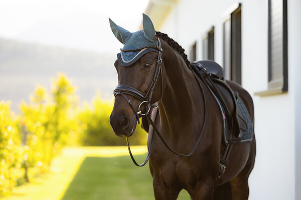 Le Mieux Loire Fly Hood  