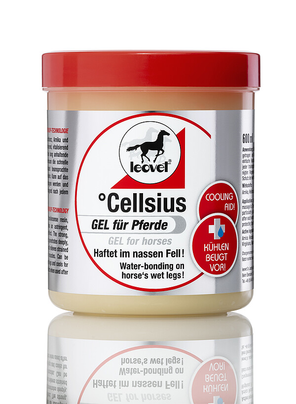 Leovet Cellsius Gel für Pferde 300ml  