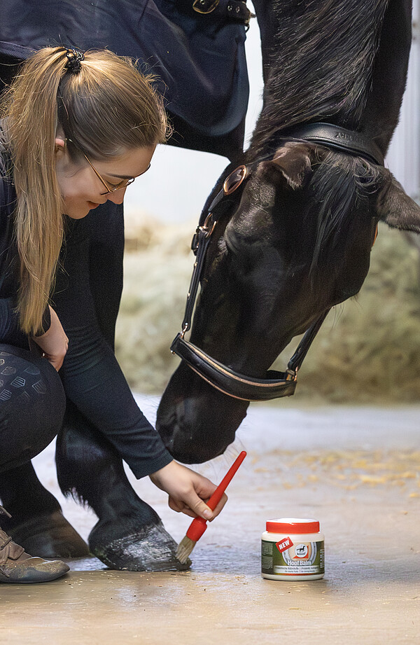 Leovet Hoof Balm Präbiotisch  