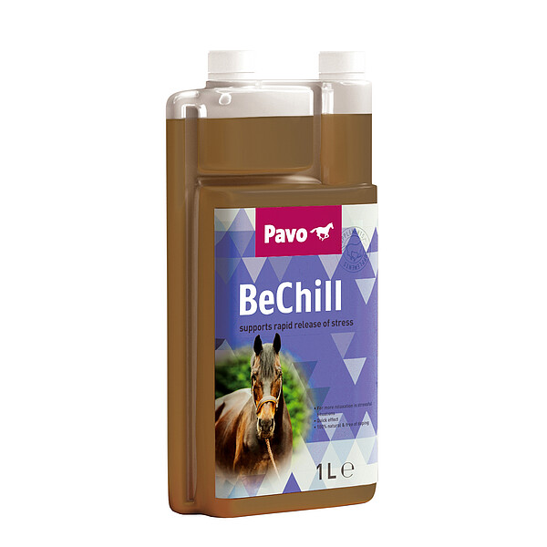 BeChill  