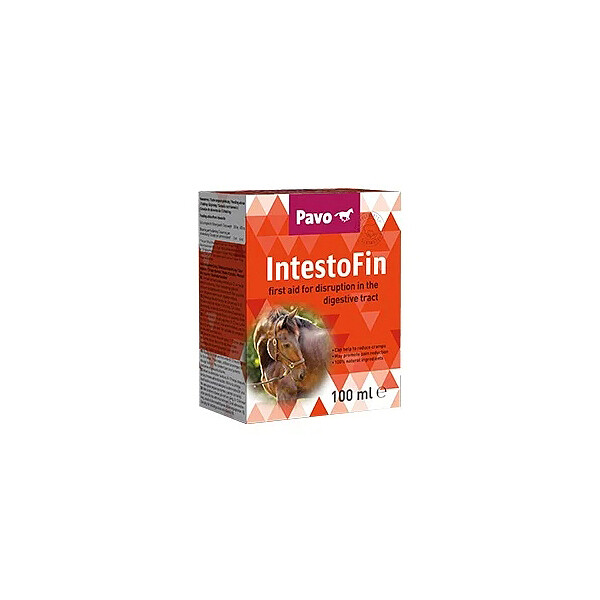 IntensoFin  