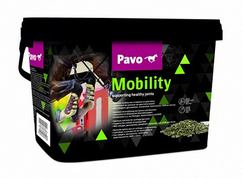 MOBILITY  