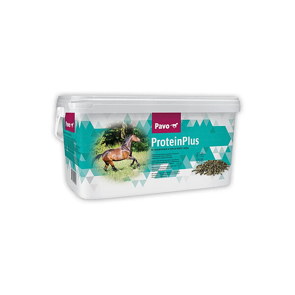 ProteinPlus  