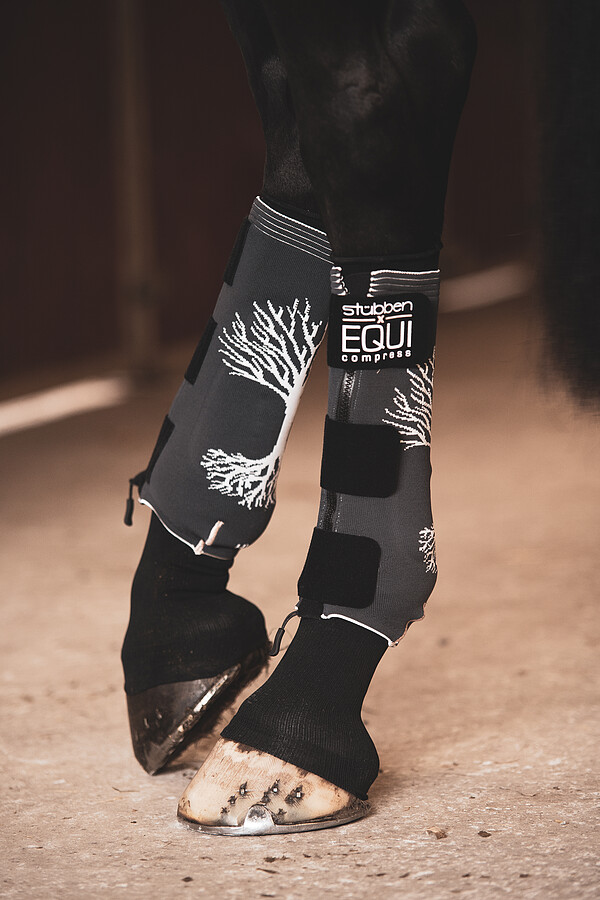 EQUI Compress Set Hinterbeine M  