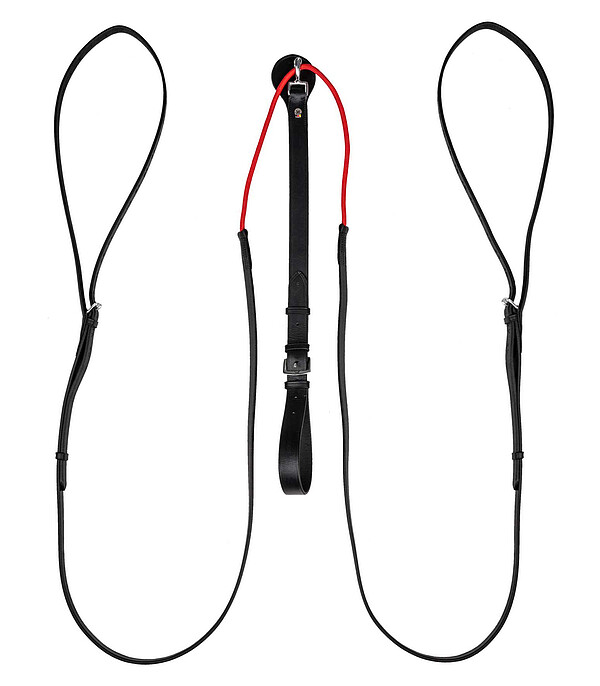 Dreieckszügel W-trainRein  