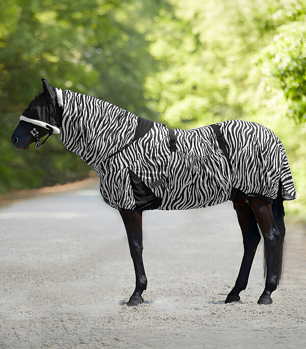 Ekzemdecke Zebra  