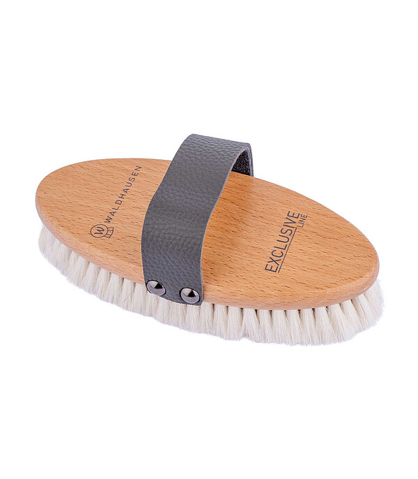 Exclusive Line Glanzkardätsche  