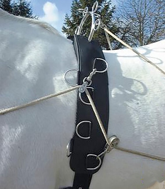 Felix Brasseur Multi Longiergurt  