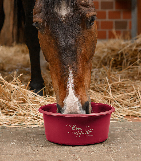 Futterschale "Bon Appétit!" mit Deckel  