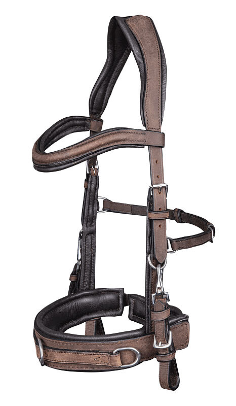 Lederkappzaum, anatomic  