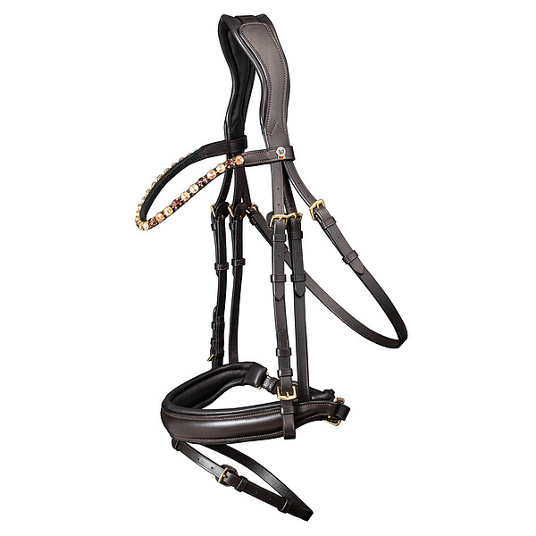 Trensenzaum X-Line Goldheart  