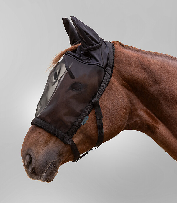 Weidehalfter mit Fliegenmaske  