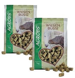 2 x 1 kg Beutel Agrobs Wiesen Bussi  
