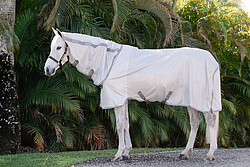 Amigo integrated Fly Sheet  