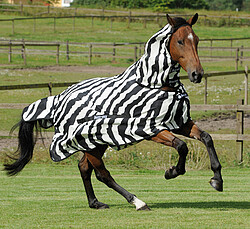 Bucas Buzz-​Off Full Neck 145 cm Zebra  