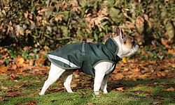 Freedom Dog Rug 150g  