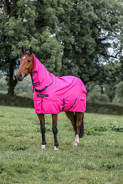 Freedom TO light F/​N  