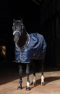 Show-​Line Stable Rug 150  