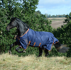 X-​Range Turnout light  