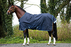 Amigo Bravo-​12 Turnout 0g 160cm navy  
