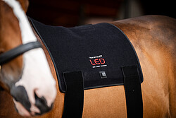 LED RED LIGHT Therapy Pad  