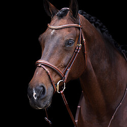 HV Polo Bridle deluxe Legacy  