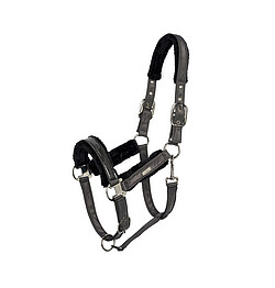 HV Polo Halfter Cecile Cob iron  