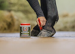 Leovet Elastic Creme  