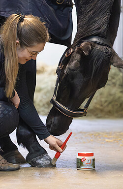 Leovet Hoof Balm Präbiotisch  