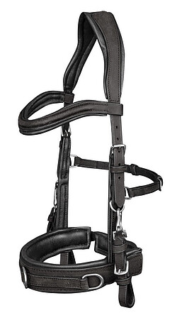 Lederkappzaum, anatomic  