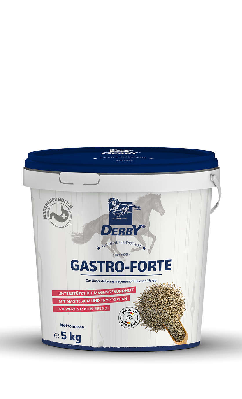 Derby Gastro Forte 5kg 