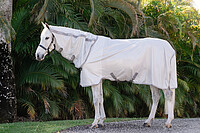 Amigo integrated Fly Sheet 
