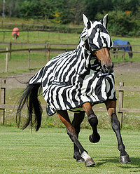 Bucas Buzz-Off Fly Mask *  