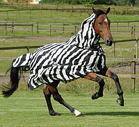 Bucas Buzz-​Off Full Neck 145 cm Zebra  