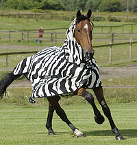 Bucas Buzz-Off Full Neck 145 cm Zebra  