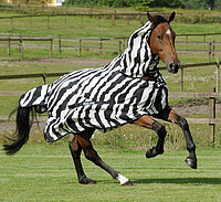 Buzz-​Off Full Neck Zebra  
