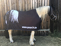 Bucas Cooler mit Gege Druck 155 cm 