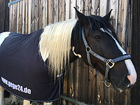 Bucas Cooler mit Gege Druck 155 cm  