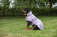 Bucas Freedom Dog Rug  