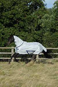 Bucas Freedom Fly Sheet FN 135 silver 
