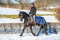 Bucas Freedom Riding Rug 145 Navy 